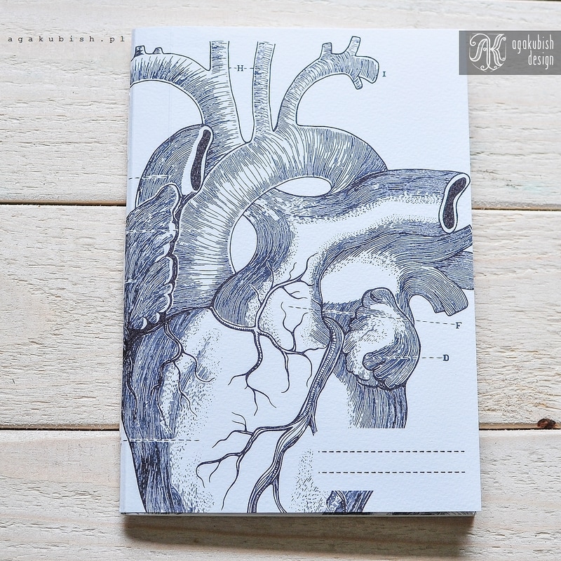 Zeszyt ręcznie robiony w serca anatomiczne, grafika od agakubish design, ilustracja medyczna
