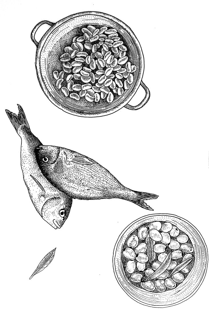 Ryby, oliwki i fasola, ilustracja kulinarna